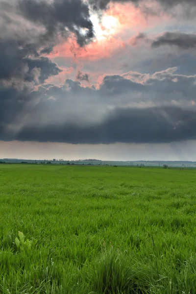 Landscape before storm — Stock Photo, Image