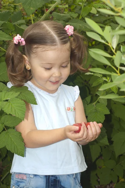 A smiling girl holding the palms of raspberries Royalty Free Stock Photos