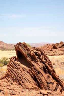 Wilderness in Namibia clipart