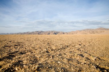 Wilderness in Namibia clipart