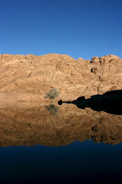 Sina Çölü'nde harika göl — Stok fotoğraf