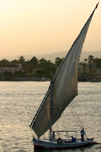 Nil teknesinde faluka — Stok fotoğraf