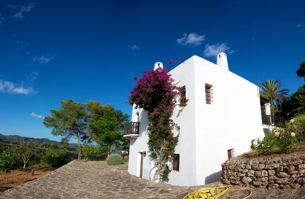 Mediterranes Haus in Ibiza — Stockfoto