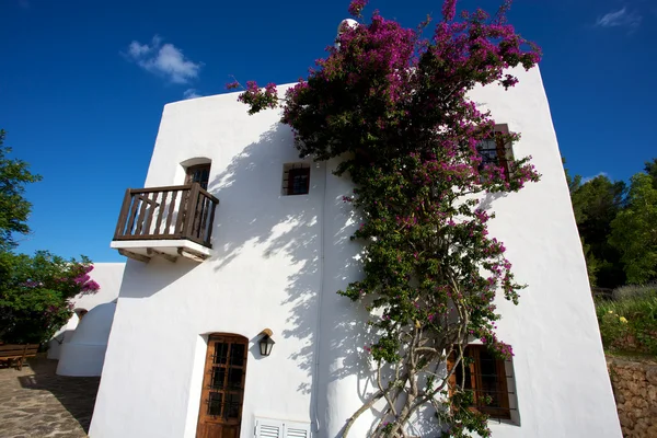 Casa do Mediterrâneo em Ibiza — Fotografia de Stock