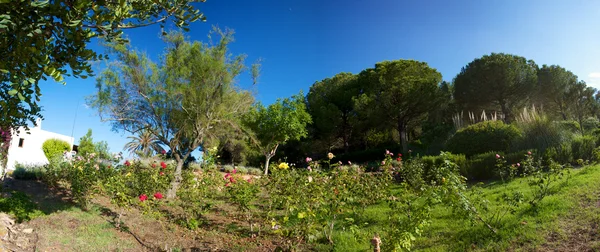 Casa Mediterránea en Ibiza — Foto de Stock