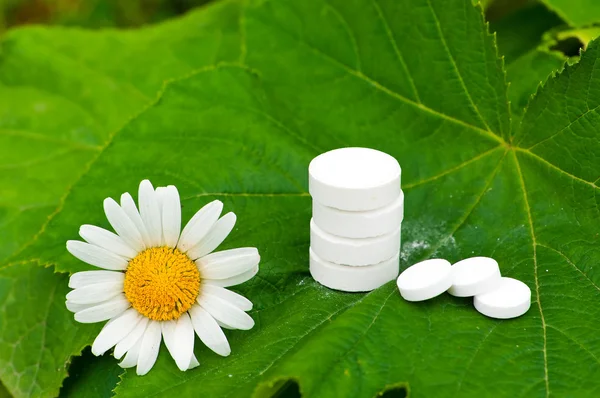 stock image Herbal Medicine