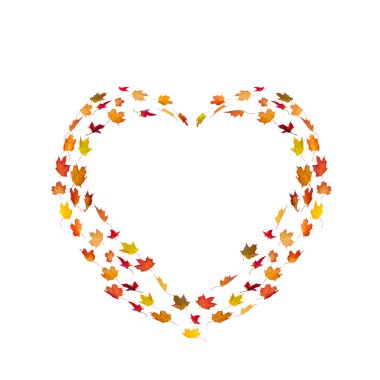 akçaağaç sonbahar yaprakları tarafından yapılan kalp şekli