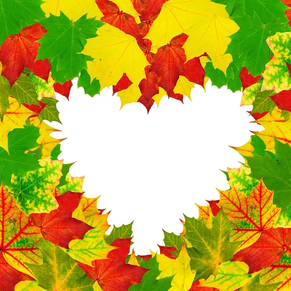 Heart shape autumn leaves frame — Stockfoto