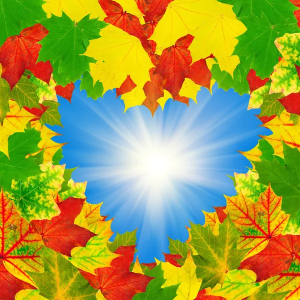 Heart shape autumn leaves frame — Stock Photo, Image