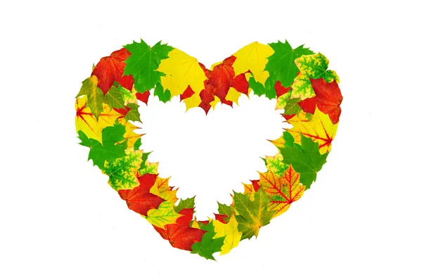 Akçaağaç sonbahar yaprakları tarafından yapılan kalp şekli — Stok fotoğraf