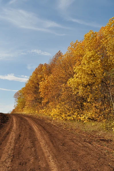 Paisaje foto, papel pintado de camino, camino con árboles brillantes — Foto de Stock