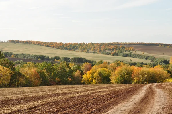 Paisaje foto, papel pintado de carretera, otoño — Foto de Stock