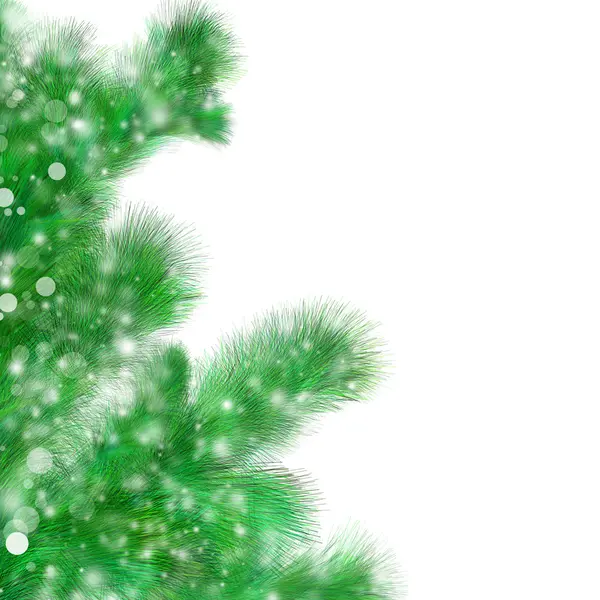 抽象的な fir 小枝 — ストック写真