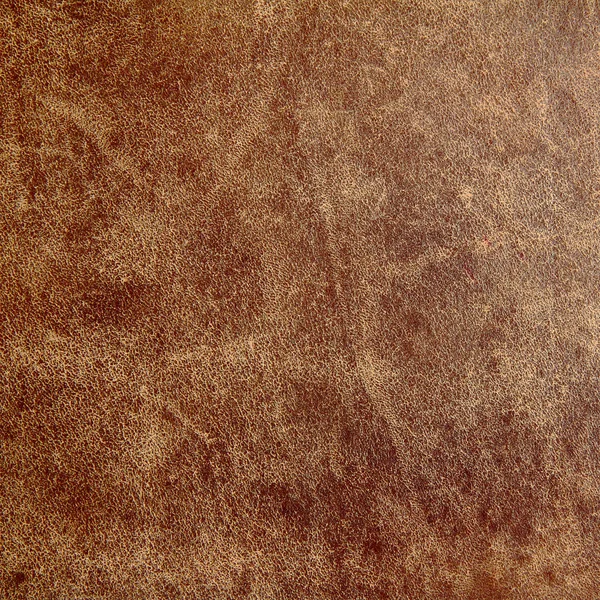 stock image Old leather