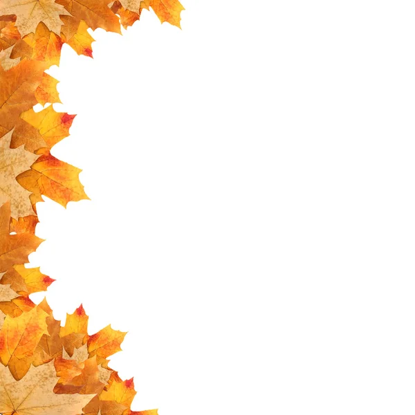 프레임 단풍 잎 — 스톡 사진