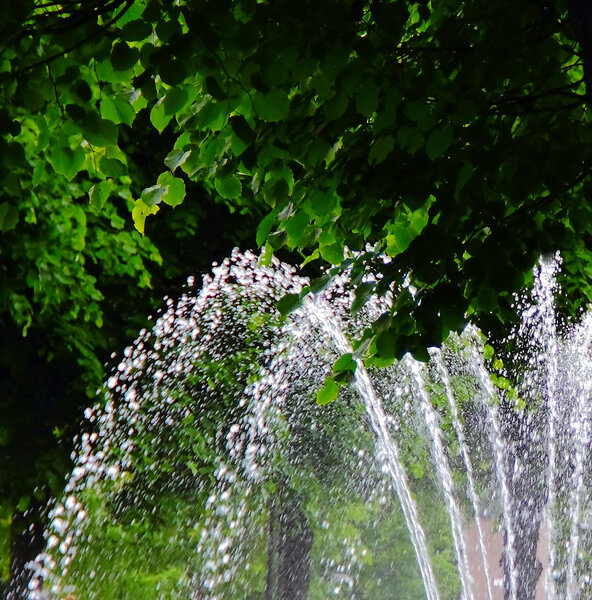 Fountain on the background of green leaves