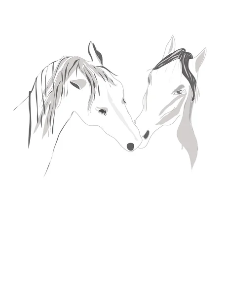 Pair Horses stand tenderly touching — Stock Vector