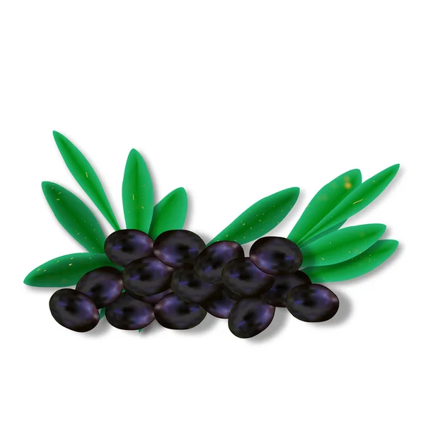 Wenige Oliven mit Blättern — Stockvektor