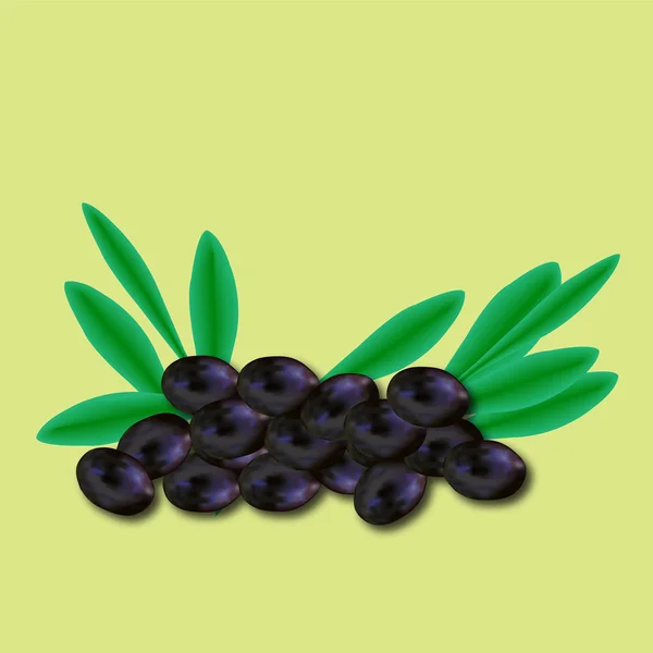 Několik olivy s listy — Stockový vektor