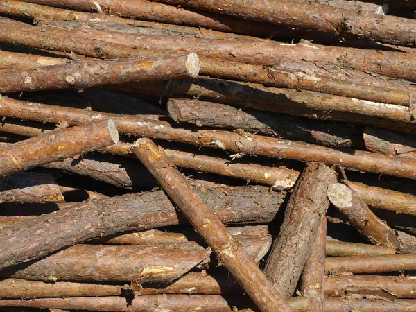 Blocs de bois sur le bûcher comme fond — Photo
