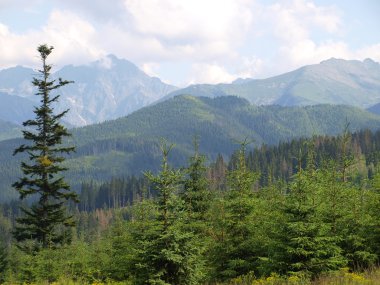 Panorama bölümünde tatra Dağları