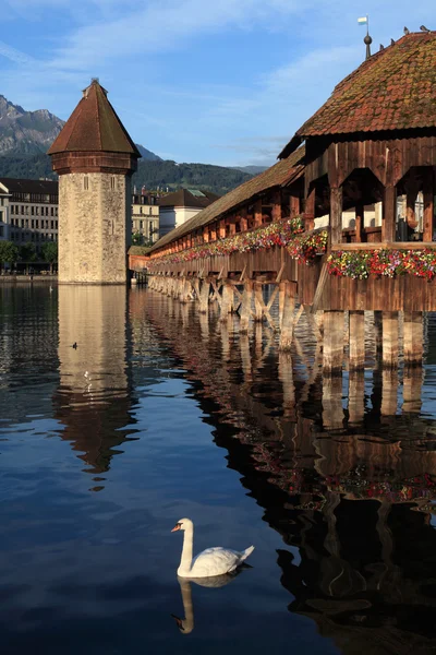 Svájc Luzern Kápolna híd — Stock Fotó