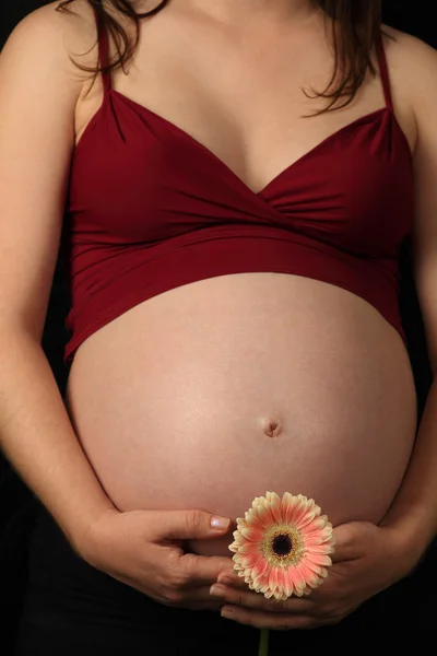 Femme enceinte tenant une fleur — Photo