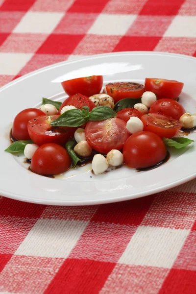 Caprese salad on table cloth — Stock Photo, Image