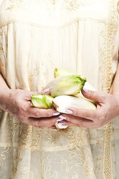 Stock image Bunch of endives