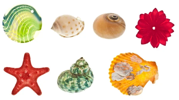 Collage of sea objects — Stock Photo, Image