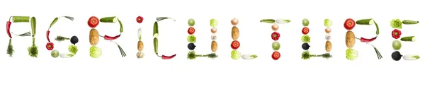 农业单词构成的蔬菜 — 图库照片
