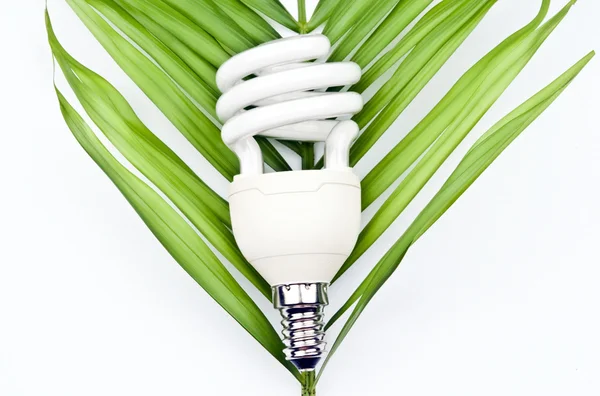 Лампочка на зеленом листе Лицензионные Стоковые Фото