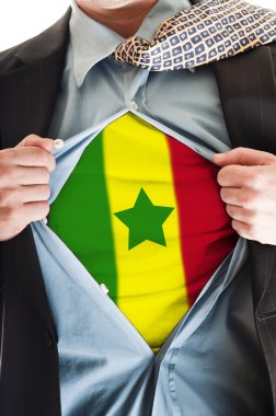 Senegal bayrak gömlek
