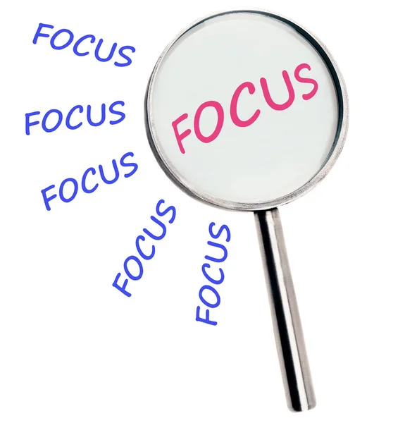 Focus — Stockfoto