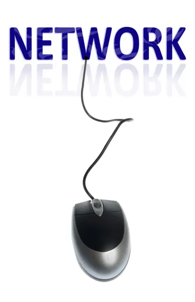 Network word — Stock Photo, Image