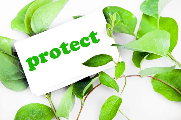 Protect message on leaves — Stock Photo, Image