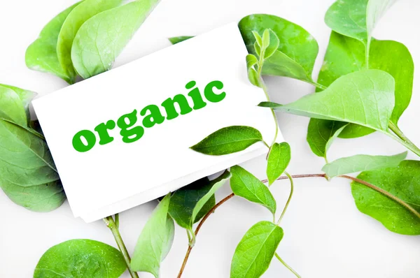 Organic message on leaves — Stock Photo, Image