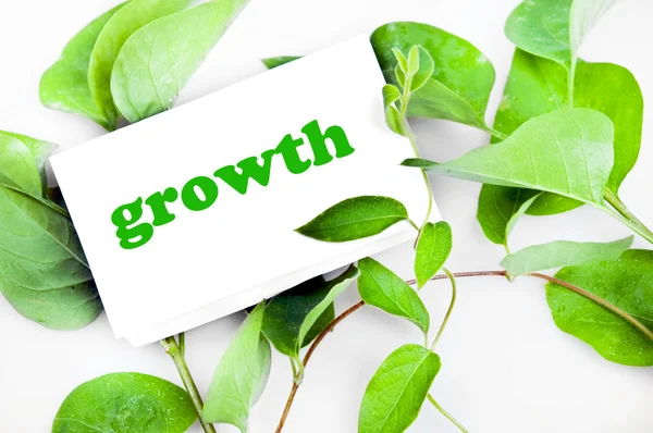 Růst zpráva na listech — Stock fotografie