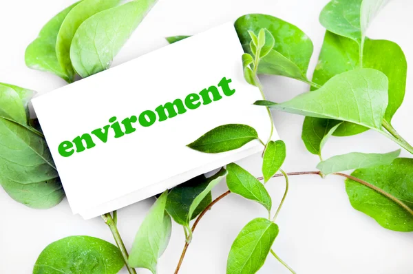 Enviroment message on leaves — Stock Photo, Image