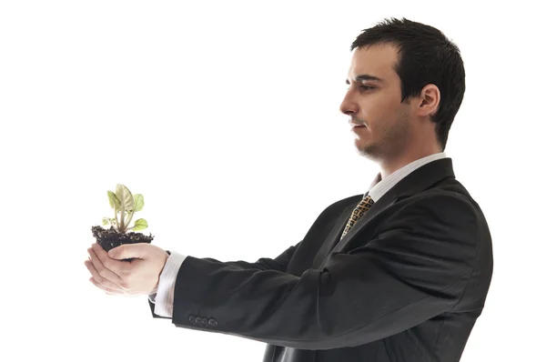 Plant in business man hands — Stock Photo, Image