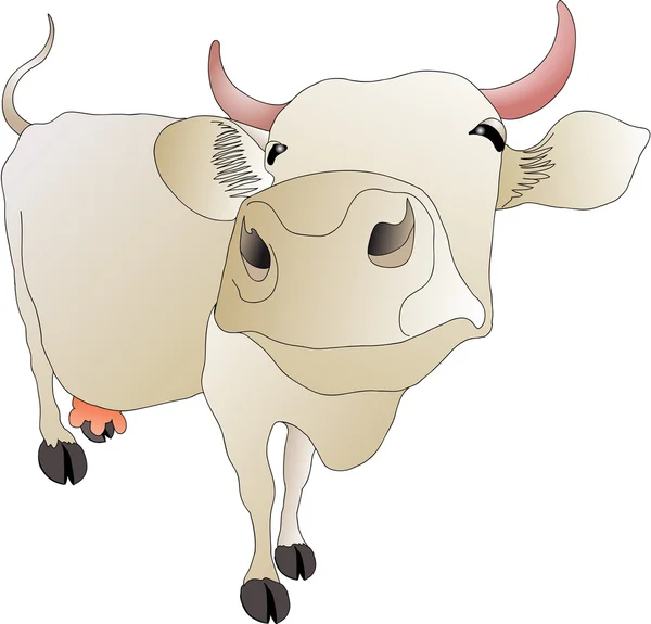 Malovaná kráva — Stock fotografie