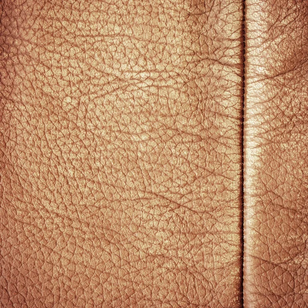棕色皮革 — 图库照片