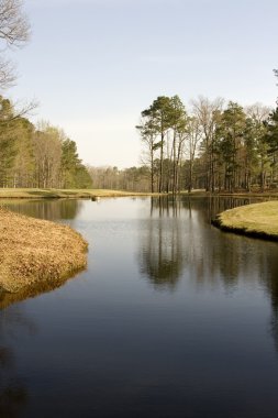 bir golf sahası üzerinde gölet