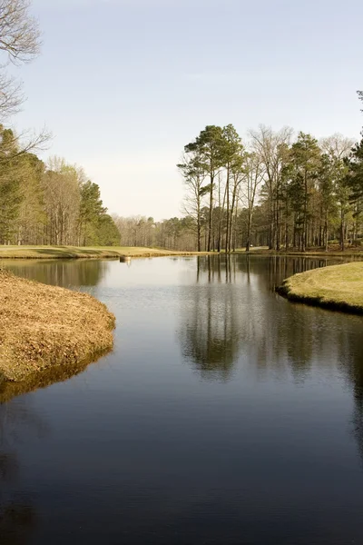 stock image Pond on a Golf Course