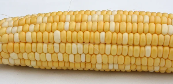 Costeleta de milho — Fotografia de Stock