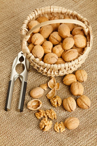 Walnuts in basket — Stock Photo, Image