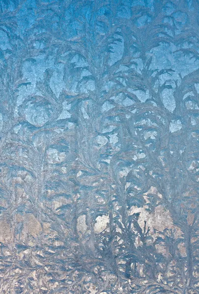 Flores de hielo en vidrio de ventana —  Fotos de Stock