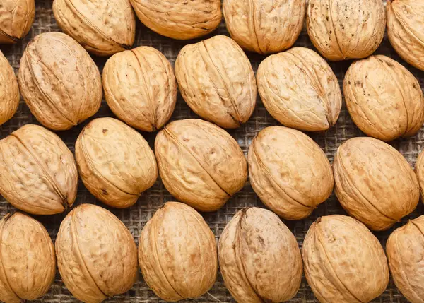 Top view of arranged walnuts — Stock Photo, Image