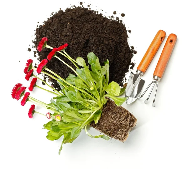 Bloem potgrond, vuil en tuinieren hulpmiddelen — Stockfoto