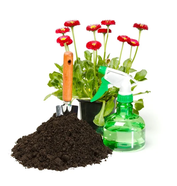 Blomma plantering verktyg och smuts — Stockfoto
